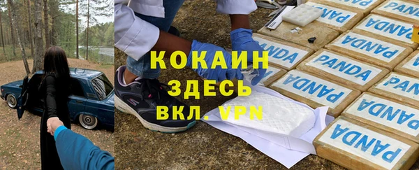 гашик Алзамай