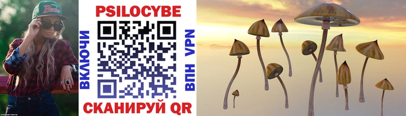 Псилоцибиновые грибы Psilocybe  shop клад  Котово 